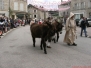 Cortège 2016 (2)