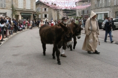 Cortège S (5)