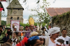 Cortège 2016 P (2)