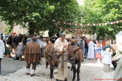 Cortège 2016 P (79)