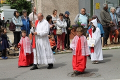 Cortège 2016 P (28)