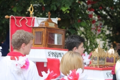 Cortège 2016 P (71)